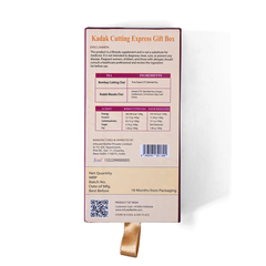 Test Tube Tea Gift Box